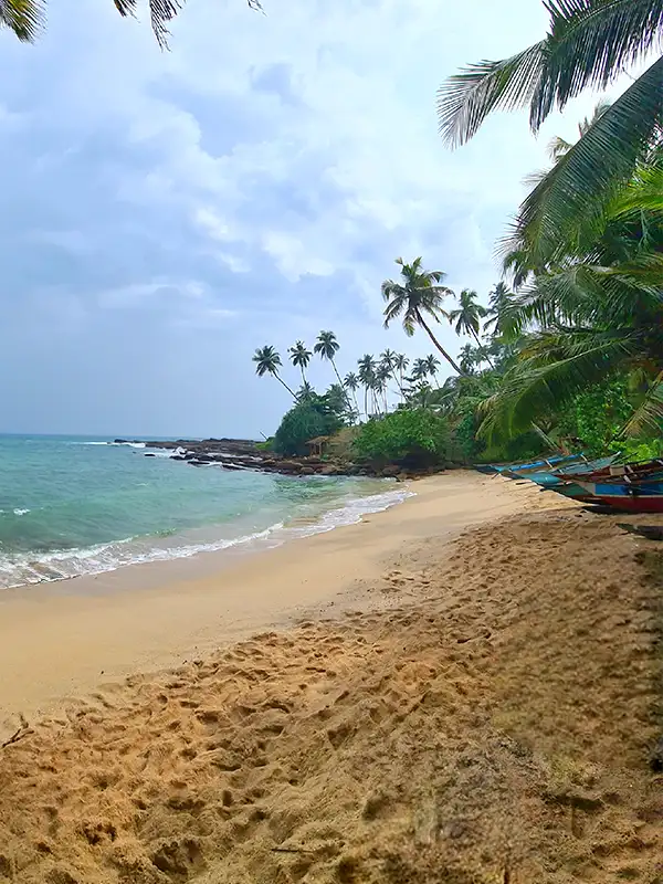 Driver Sri Lanka Tangalle