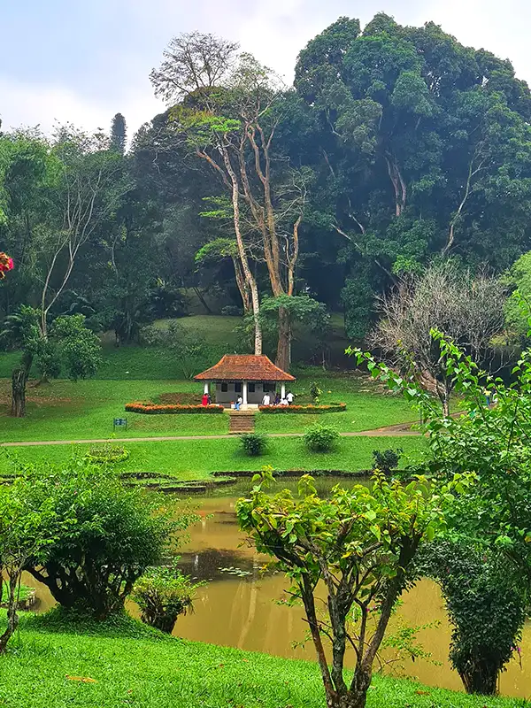 Kandy national parc
